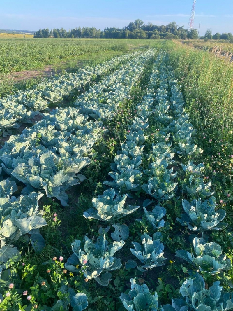 ������� ������ � �����