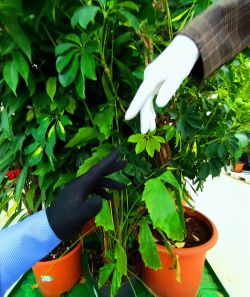 ��������