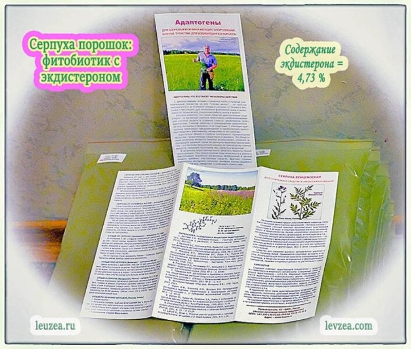 ���������� cep�y�a c ������epo��� KX ��o