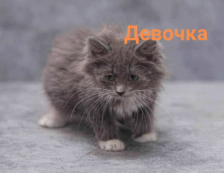 ������� ���� ���������� ��������� � ����� ������ �����