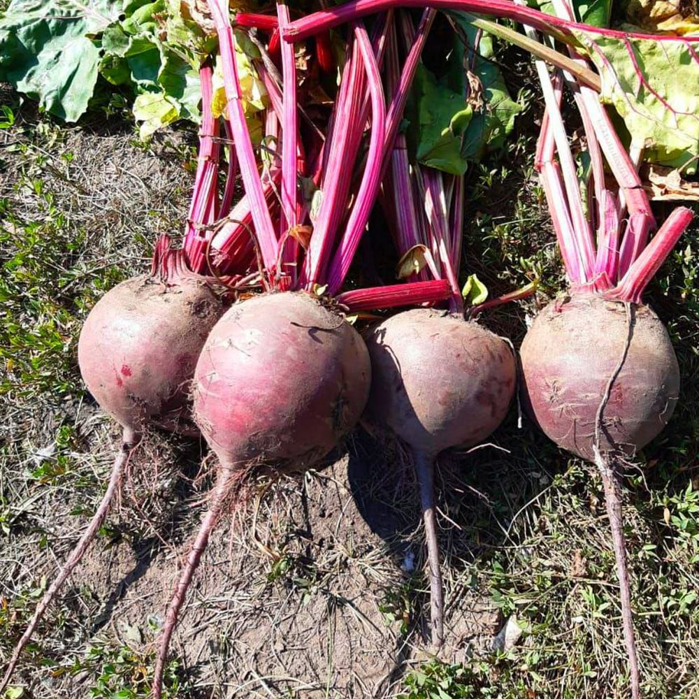 ����������� ������ ����� ����� � ��������� ����