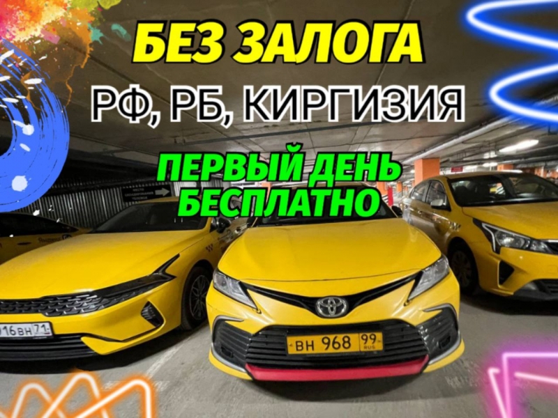 ������ ���� ��� ����� ��� ������