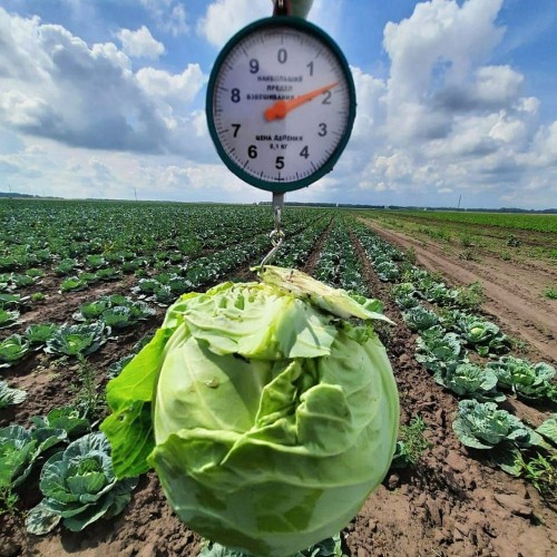 ������� ������� �������� � ��������� ���� �����