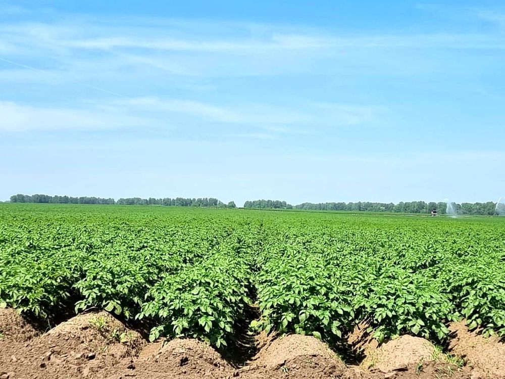 ������� ������ � ��������� ���� �� ������ �� ����������