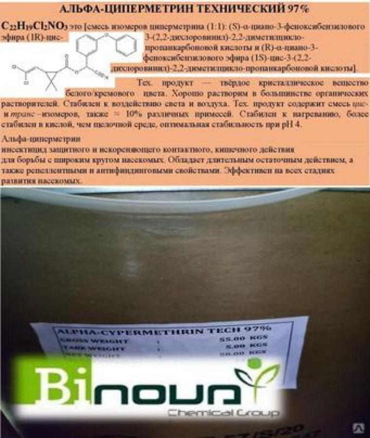 �ep�e�p��, �pa��e�p��, �������y�p��, �e���o�, ���ep�e����
