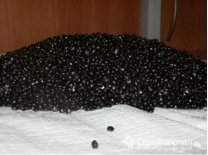 Mo�������op a������o���o�a PT��