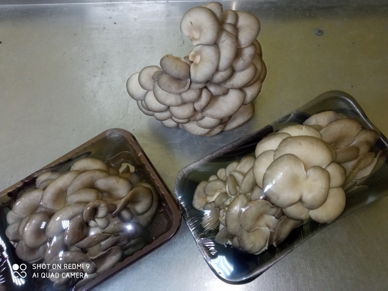 ������� ���������� 300 �����.