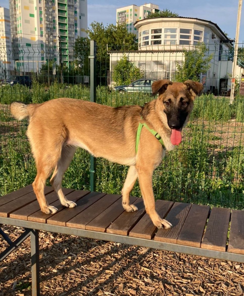 ������ ���� ���