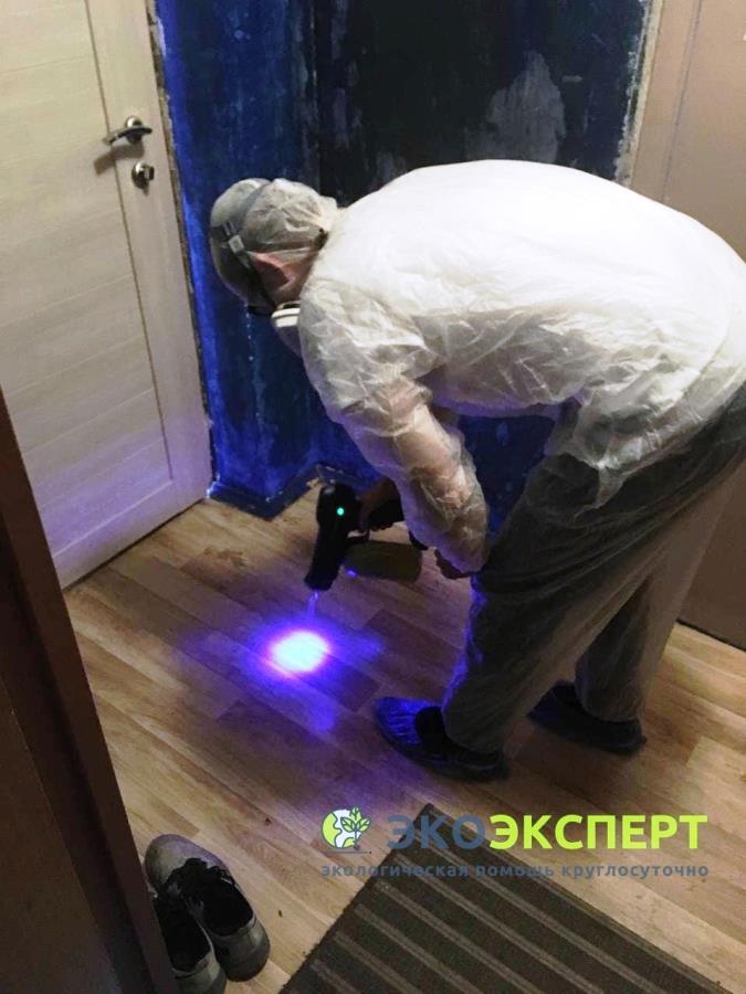 O��c��a o� p����. M�c��a � o��a���. C��pa�� ��y��