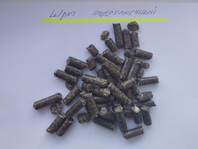 ���� ������������ ���������������