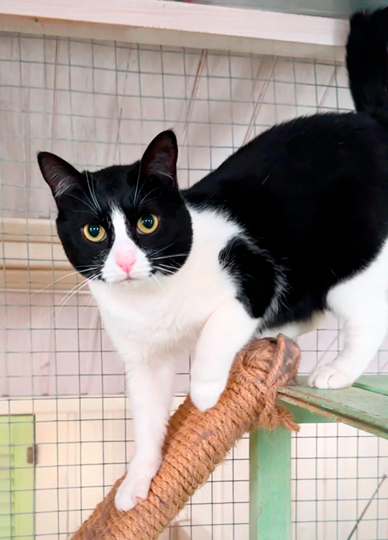 ������ ������� ���� ��������� � ����