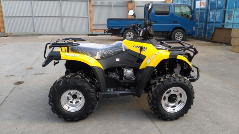 ���������� LINHAI YAMAHA D-300