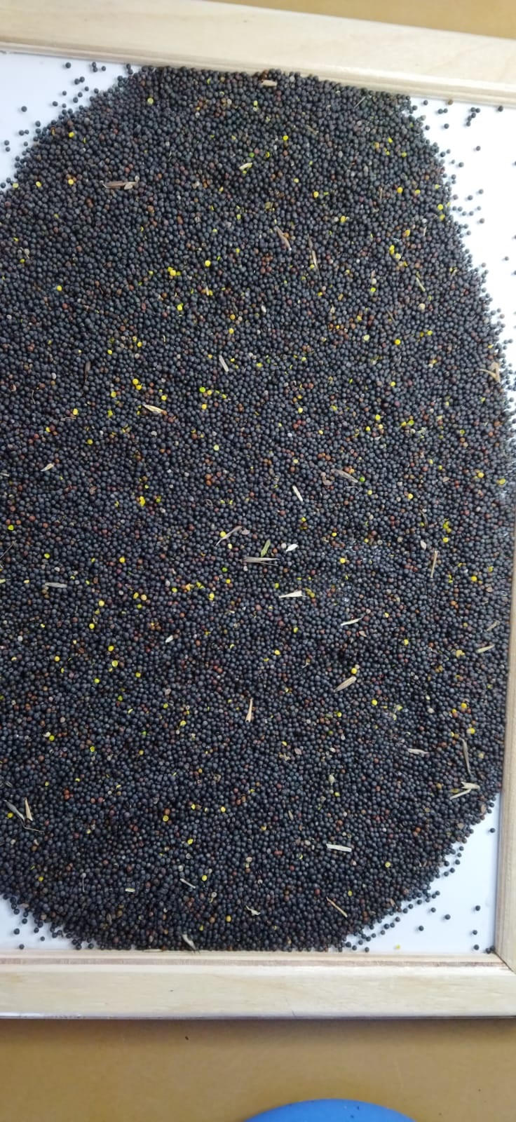 ������� �����