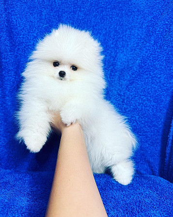 ����� ������������ ����� ���� ����� �������