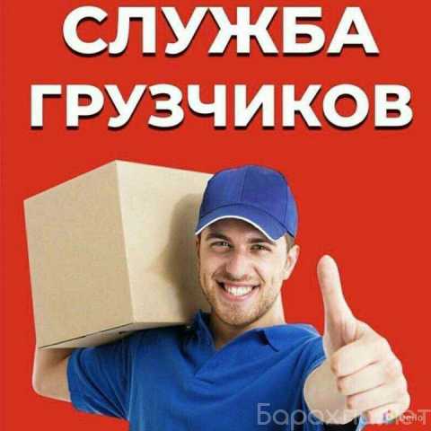 ���������� ��������� � �����������