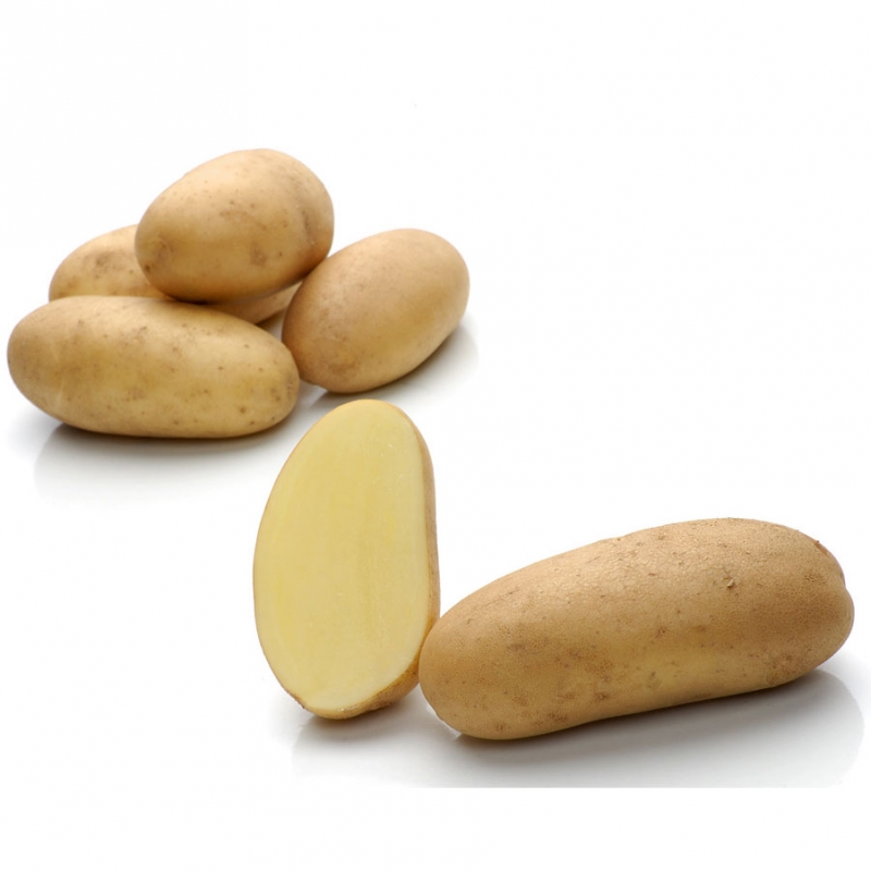 ������������� � ������ ��������� ������ � ��������� ����