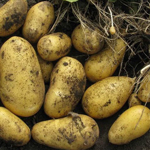 ������������� � ������ ��������� ������ � ��������� ����