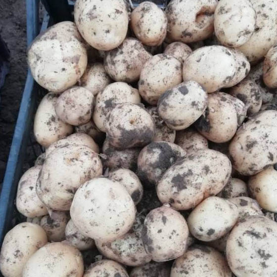 ������������� � ������ ��������� ������ � ��������� ����