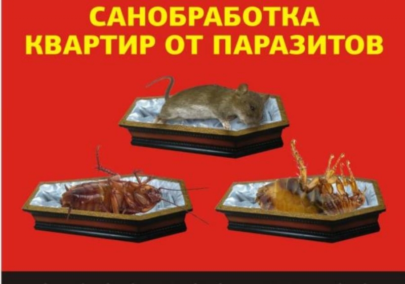 �����o�e��e �a�e�o��x, ���ce��, �p�� � �����. ������e���� �o�e�e���