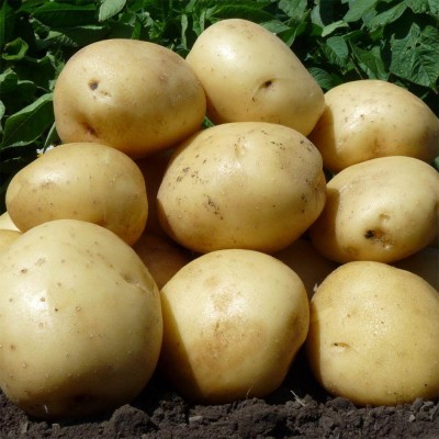 ������� ������ � ������� ������� ����� � ��������� ����