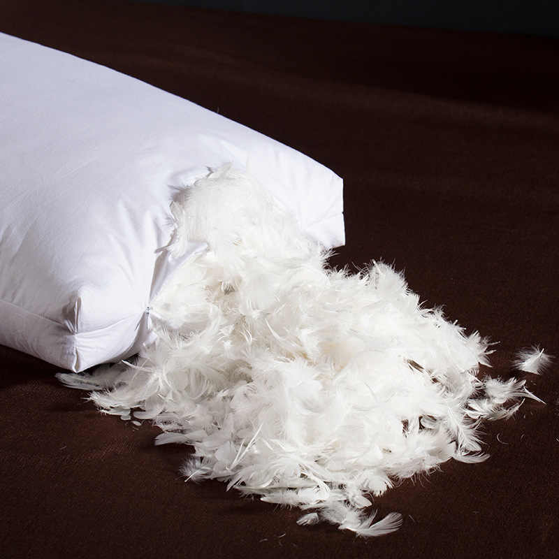 ��� ����, �������, �����, ����-������� �����.