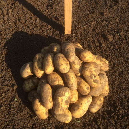 ������� ��������� ������� � ����� � ��������� ����