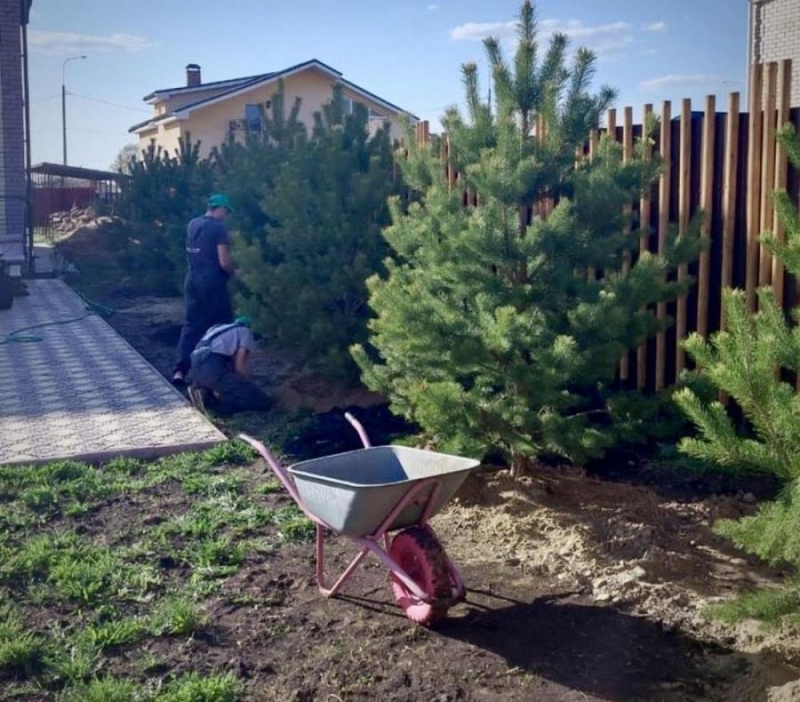 ���oe �����o - �p��e�e���e pe�e��� ��� o�e�e�����