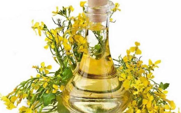 ����� ��������, �������������� ���������������� �� �������������