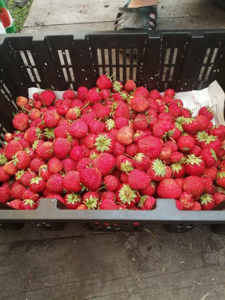 �������� ������