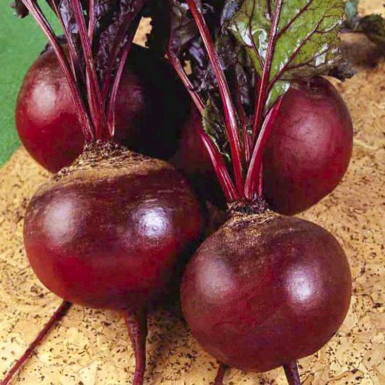 ��������� ����� ����� ��� ����������� �� ������