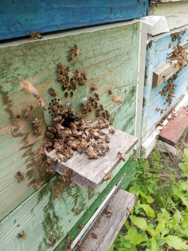 ���� � ����