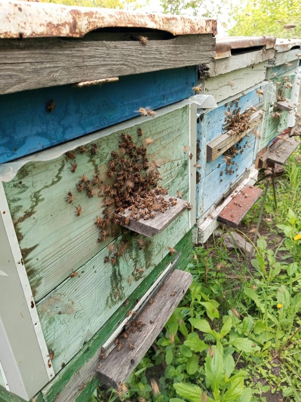 ����� � ����