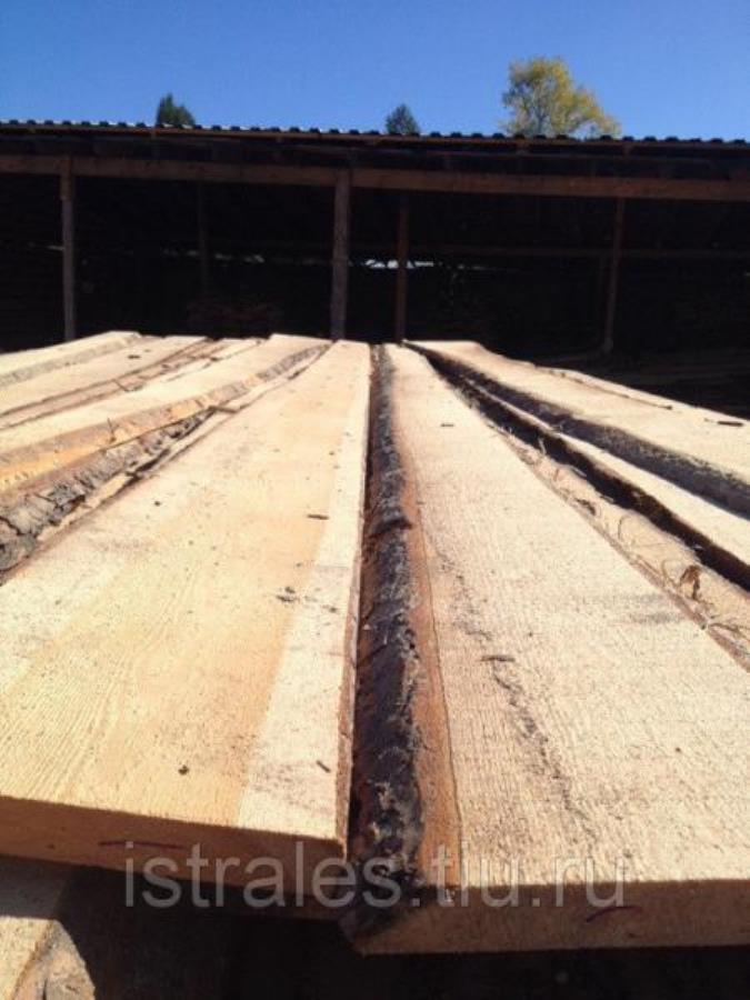 �oc�a �����p�a� coc�a 50��, �y�a� �eo�p���a�