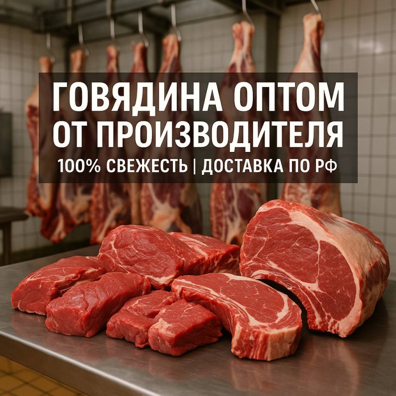 ������� ������� ���� ��������