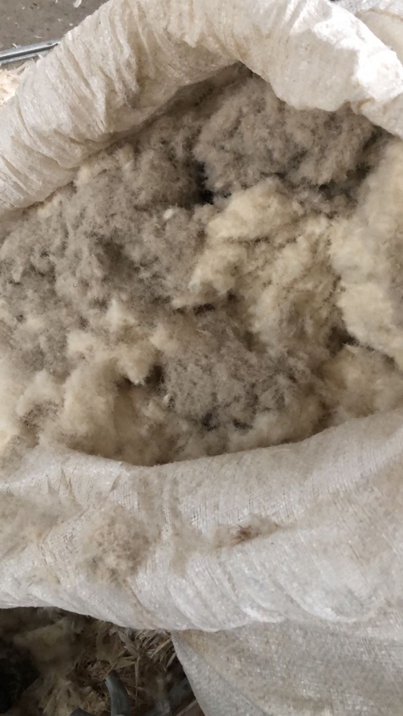 ������� ����� ��� ��������� �����������