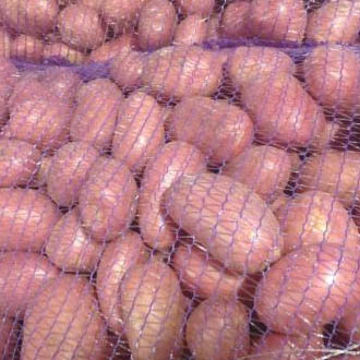 ��������� ��������� ����� ��� �������, �����, ������ � ���